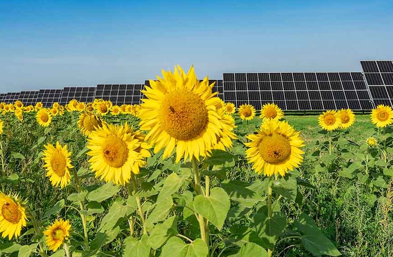 RWE and Google Sign Power Purchase Agreement for Oklahoma Solar Project